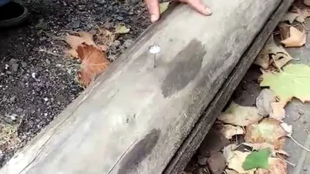 3-дюймовые кровельные гвозди с зонтичной головкой